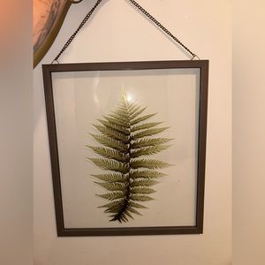 Real Fern Wall Art